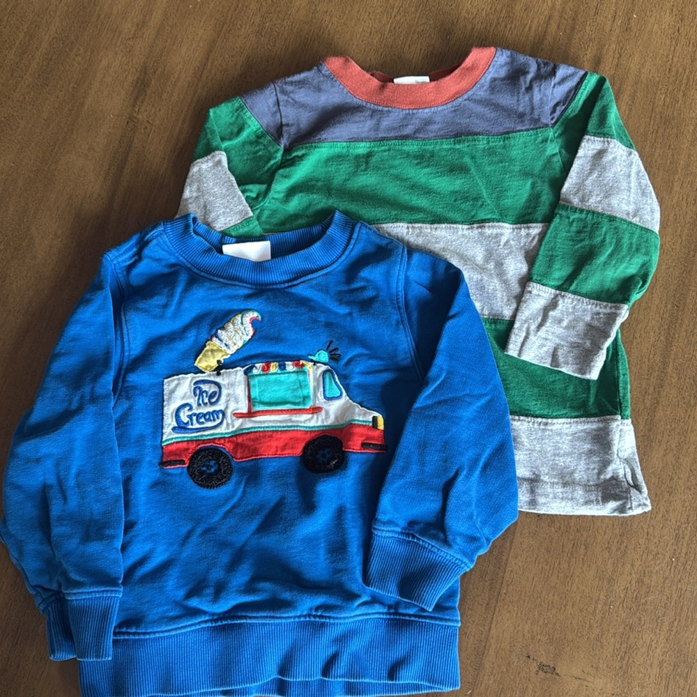 Hanna Andersson Kids Sweatshirt & Shirt